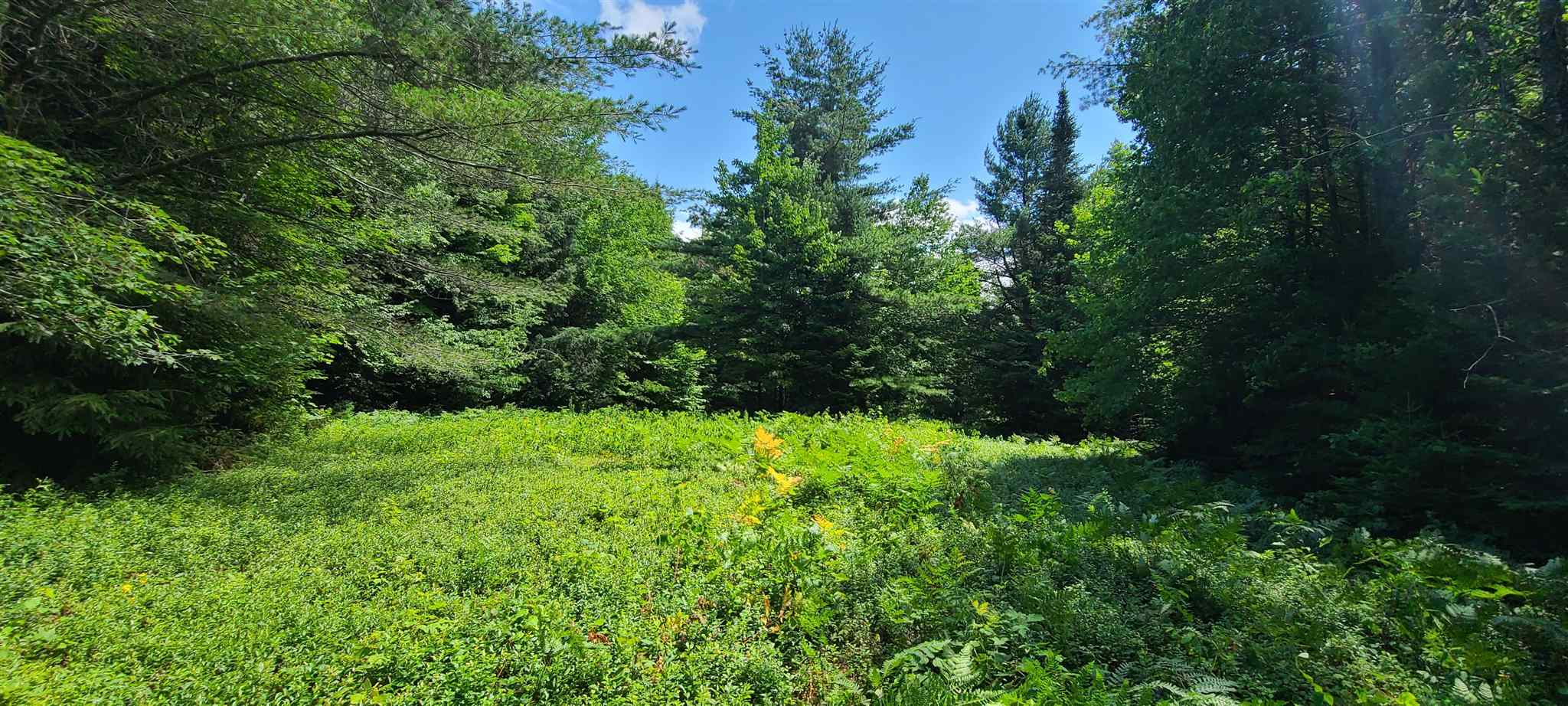 0 Ross Road, Unit 1 Winhall, VT 05340 - Photo 2 of 7