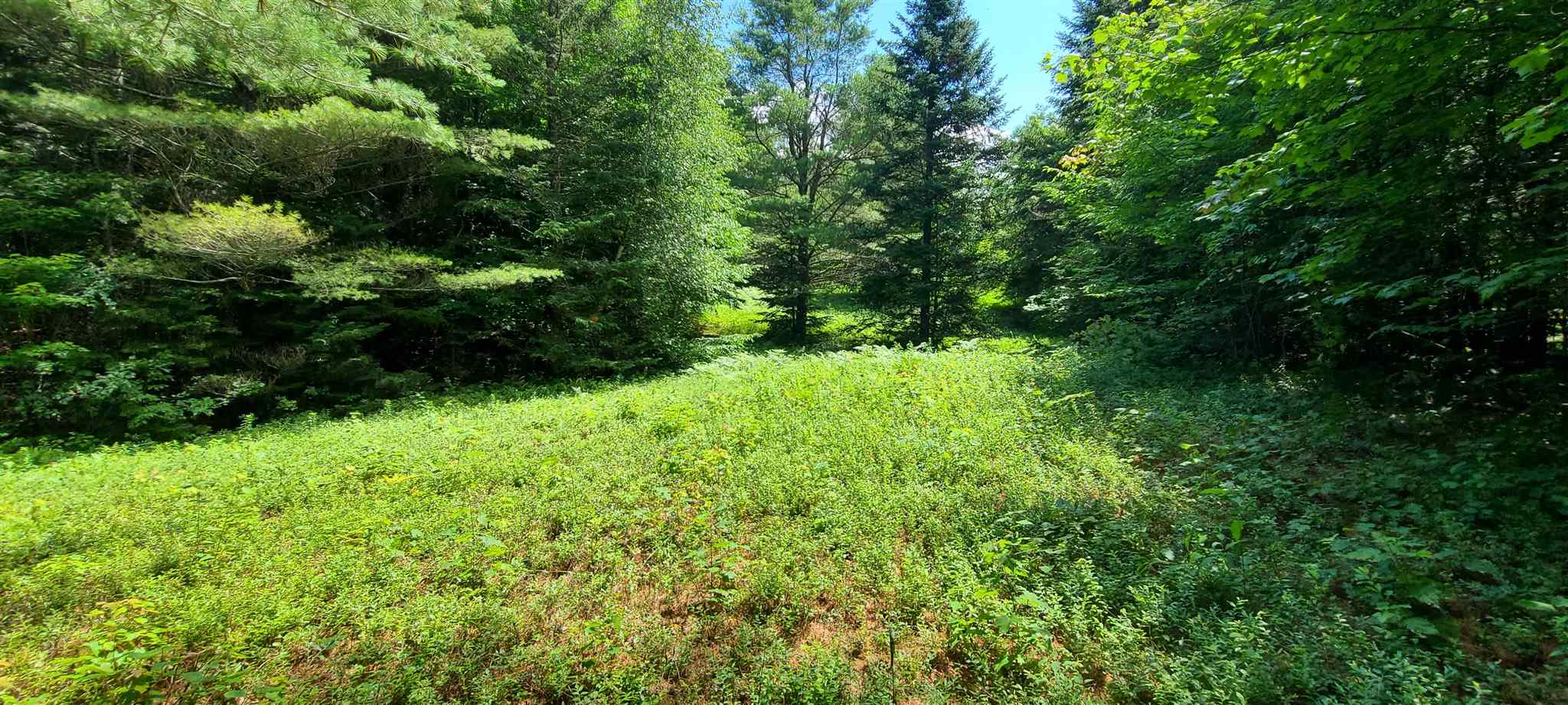 0 Ross Road, Unit 1 Winhall, VT 05340 - Photo 3 of 7