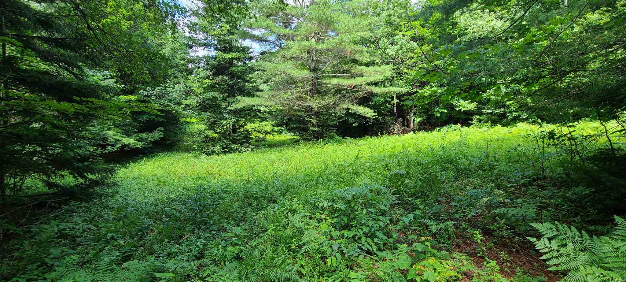 0 Ross Road, Unit 1 Winhall, VT 05340 - Photo 4 of 7