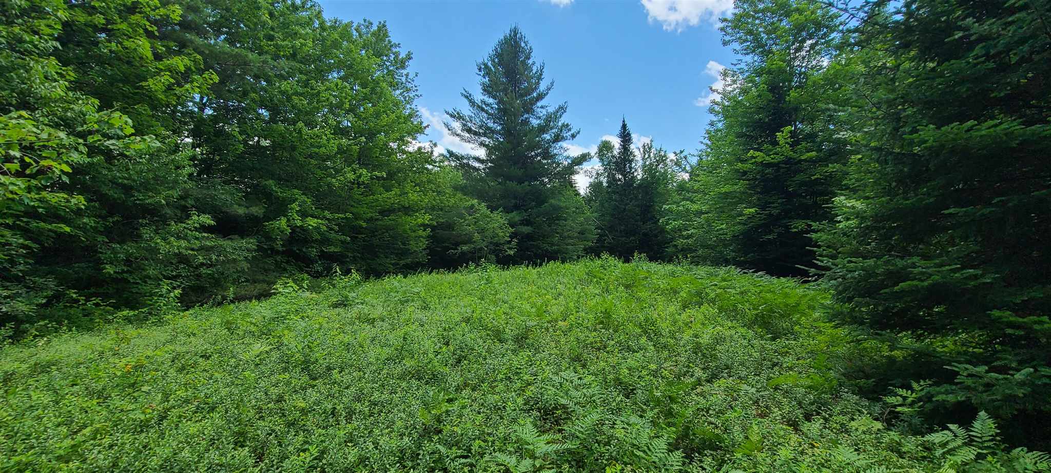 0 Ross Road, Unit 1 Winhall, VT 05340 - Photo 5 of 7