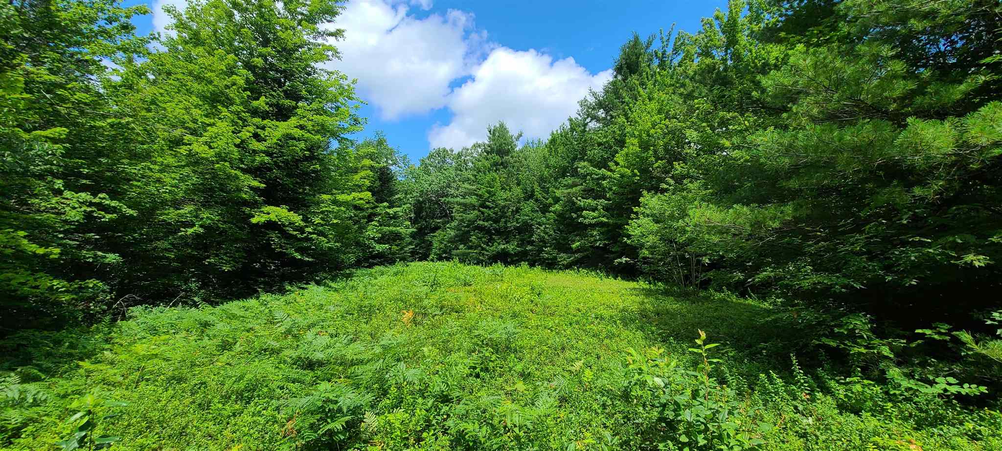 0 Ross Road, Unit 1 Winhall, VT 05340 - Photo 6 of 7