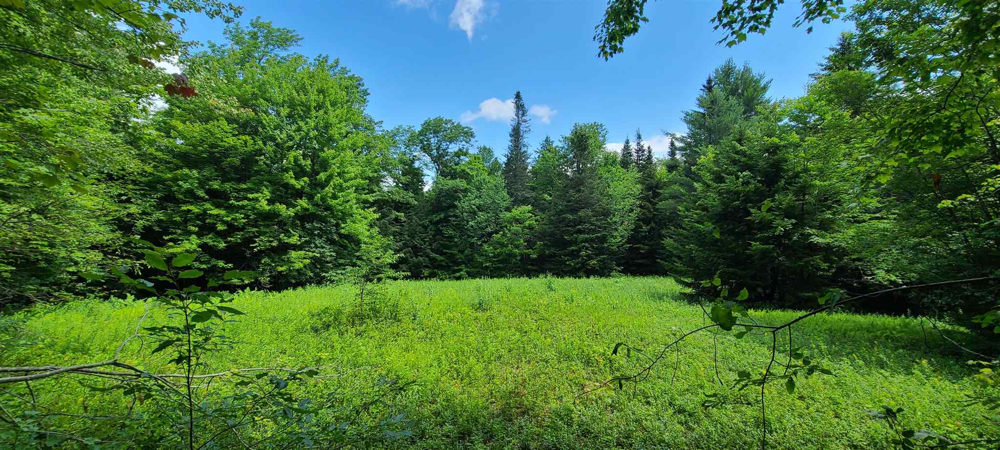 0 Ross Road, Unit 1 Winhall, VT 05340 - Photo 7 of 7