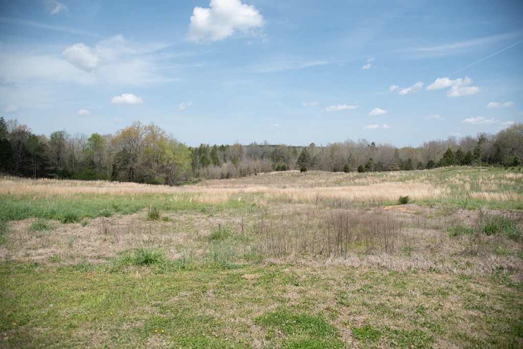 4080 Indian Mound Road, Unit LAURENS Laurens, SC 29360 - Photo 6 of 31 Gallery Image 6