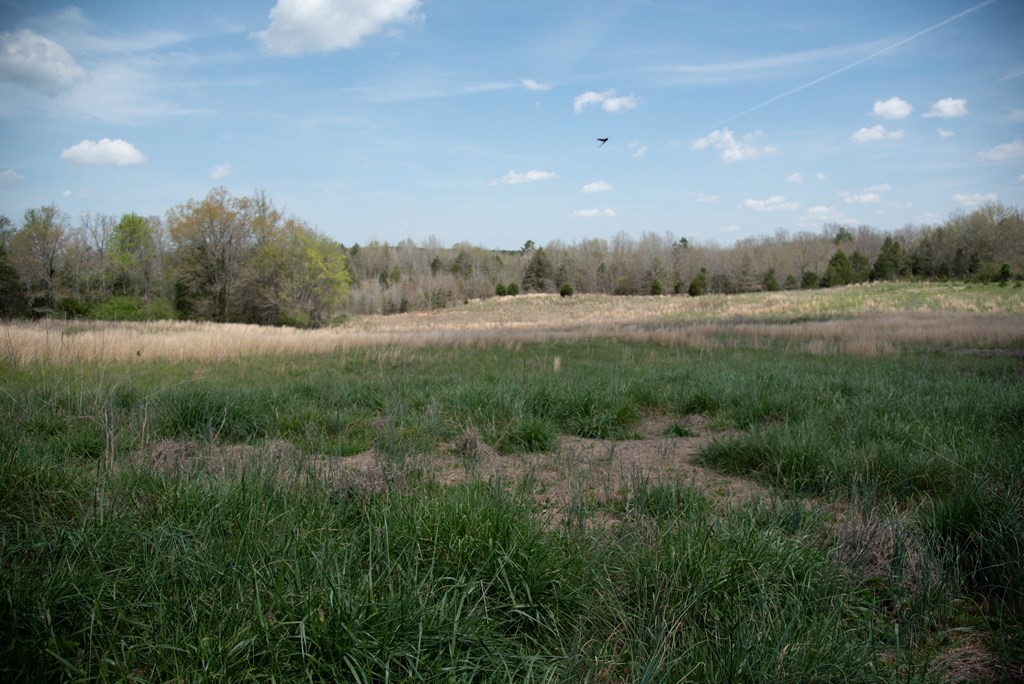 4080 Indian Mound Road, Unit LAURENS Laurens, SC 29360 - Photo 8 of 31 Gallery Image 8