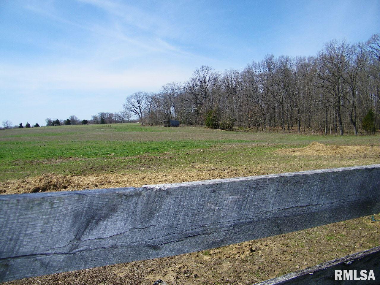 18500 Fowler School Road Pittsburg, IL 62974 - Photo 18 of 39 Gallery Image 18