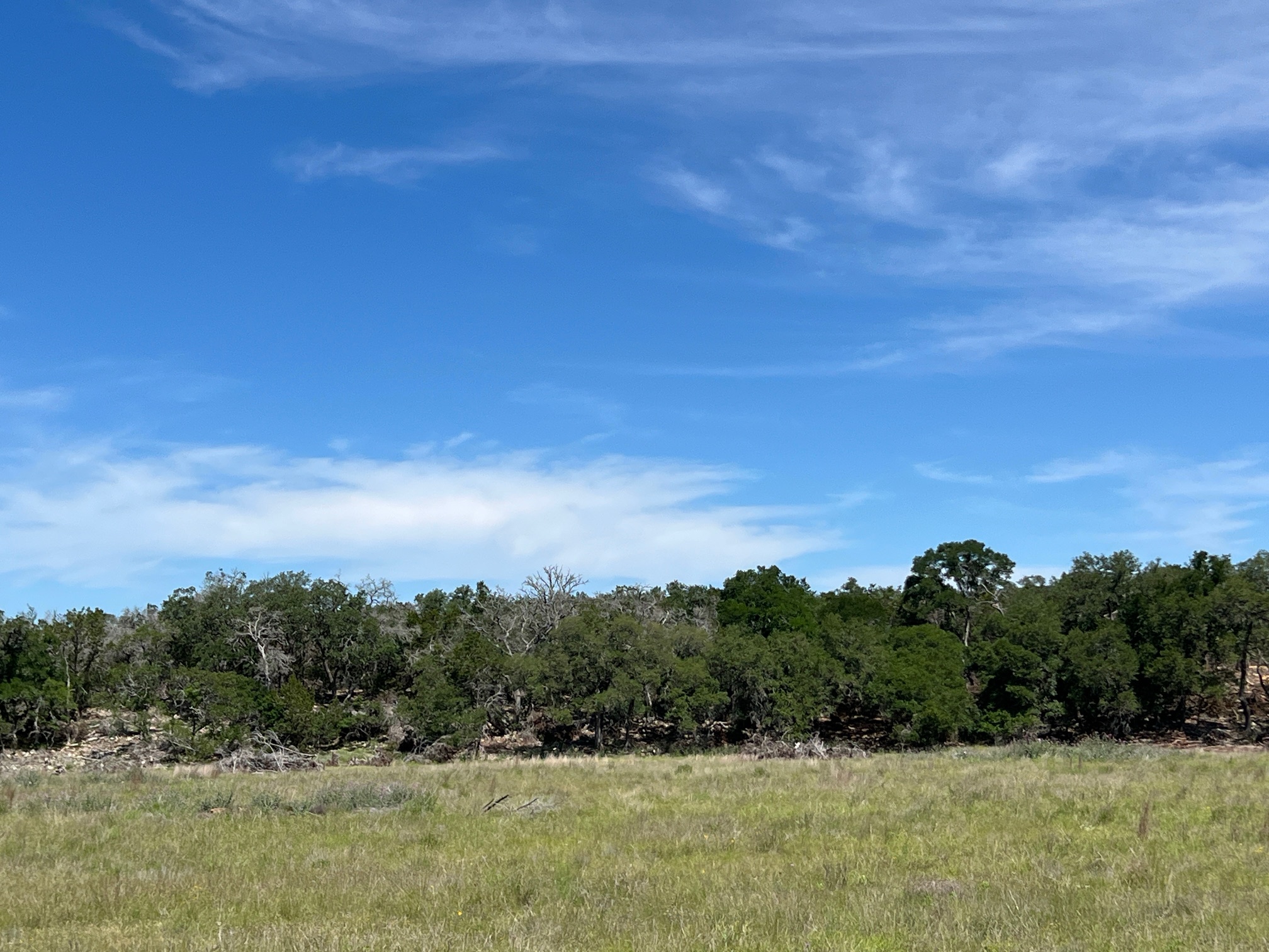 Tbd Narrows Road Blanco, TX 78606 - Photo 7 of 18