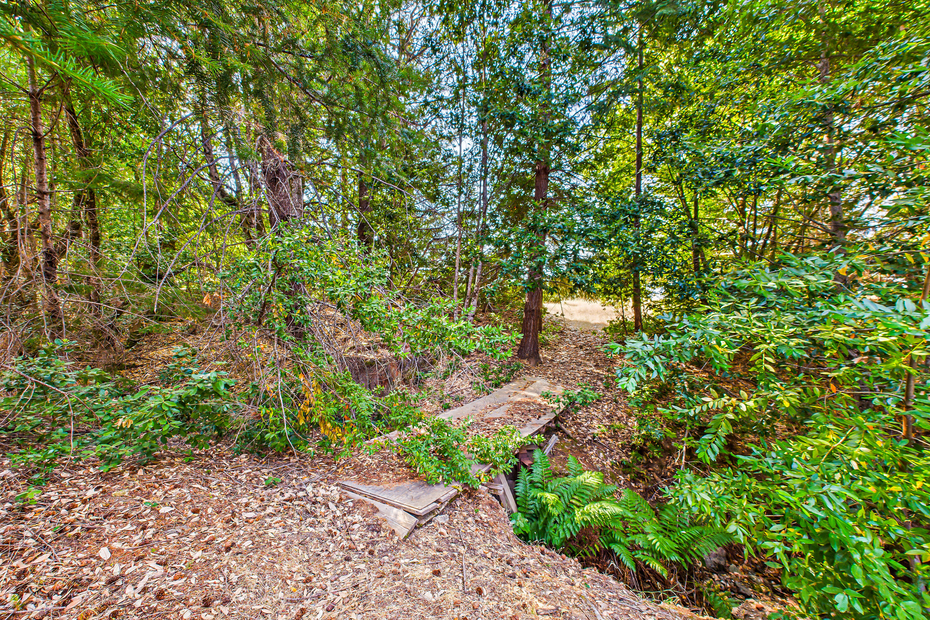 26092 Dyerville Loop Road Garberville, CA 95542 - Photo 43 of 74