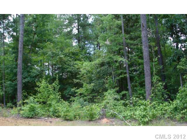 0 Goodman Road China Grove, NC 28023 - Photo 1 of 1 Gallery Image 1