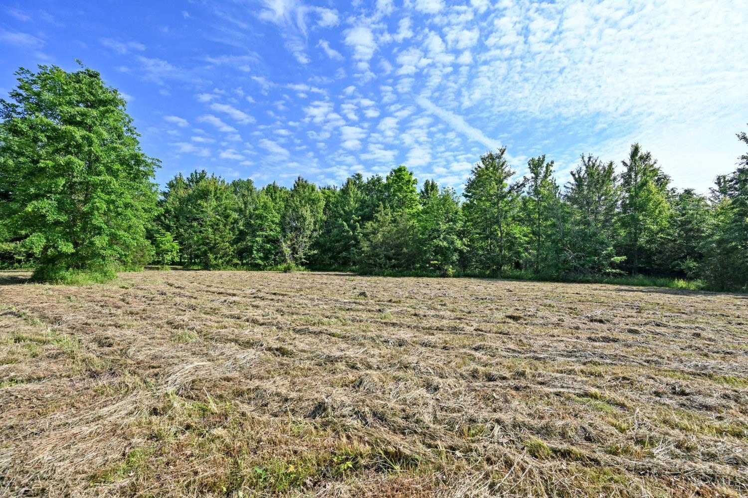 10752 Armstrong Road Pleasant Plain, OH 45162 - Photo 4 of 13