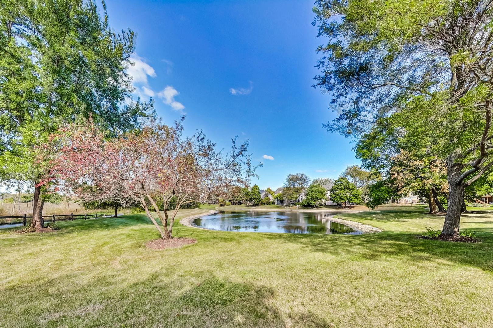 1429 Castleton Road Libertyville, IL 60048 - Photo 30 of 30 a view of swimming pool with yard and trees