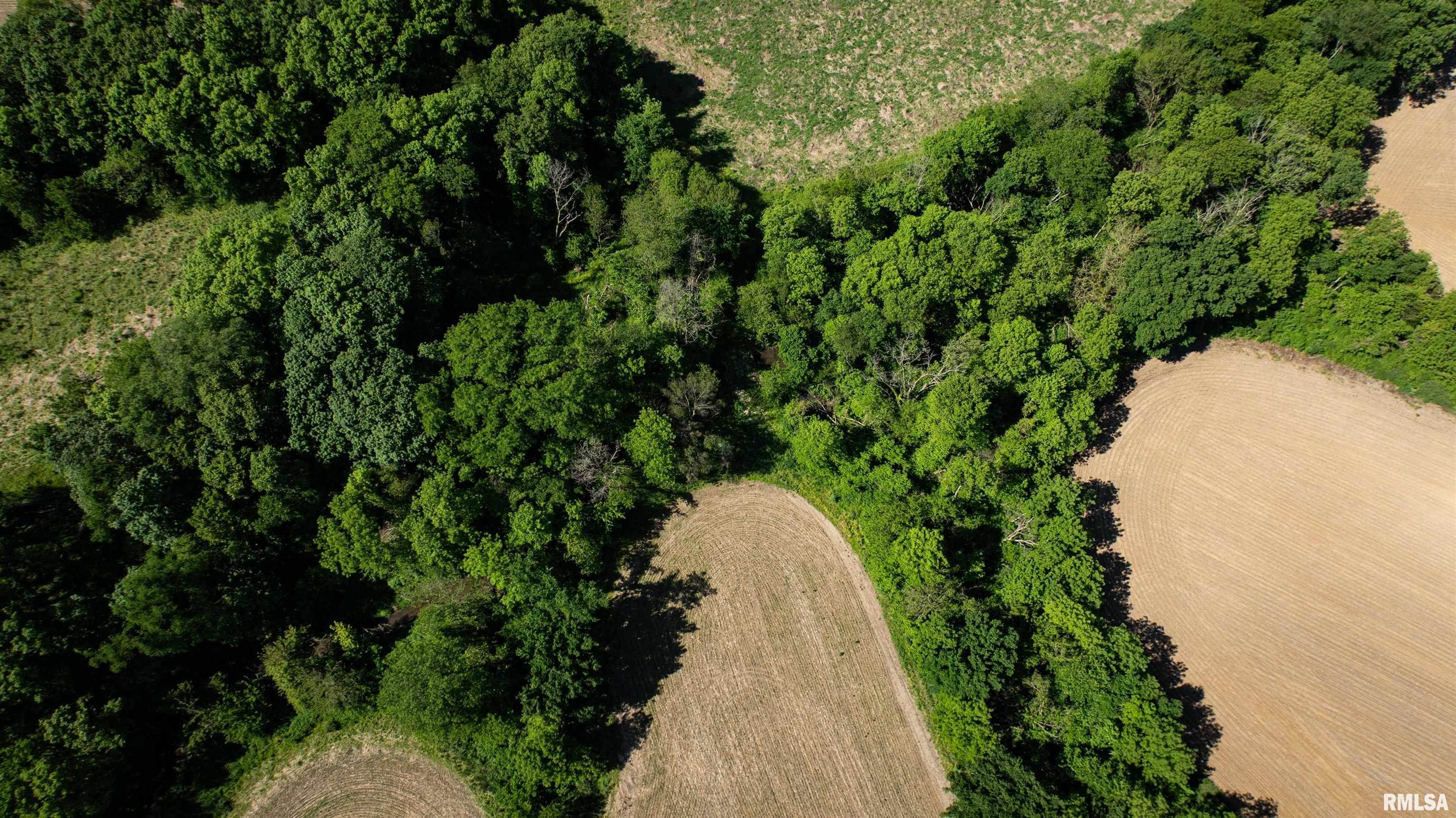 243 Il Route 97 Route Maquon, IL 61458 - Photo 22 of 41