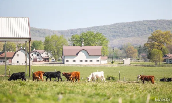 $3,850,000 | 260 Kentucky Derby Lane, Arcadia, MO 63621