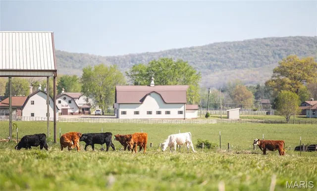 $3,900,000 | 260 Kentucky Derby Lane, Arcadia, MO 63621