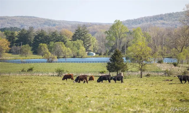 $3,900,000 | 260 Kentucky Derby Lane, Arcadia, MO 63621