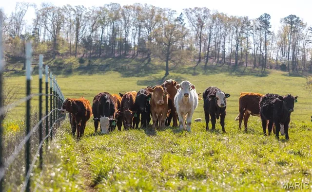 $3,900,000 | 260 Kentucky Derby Lane, Arcadia, MO 63621