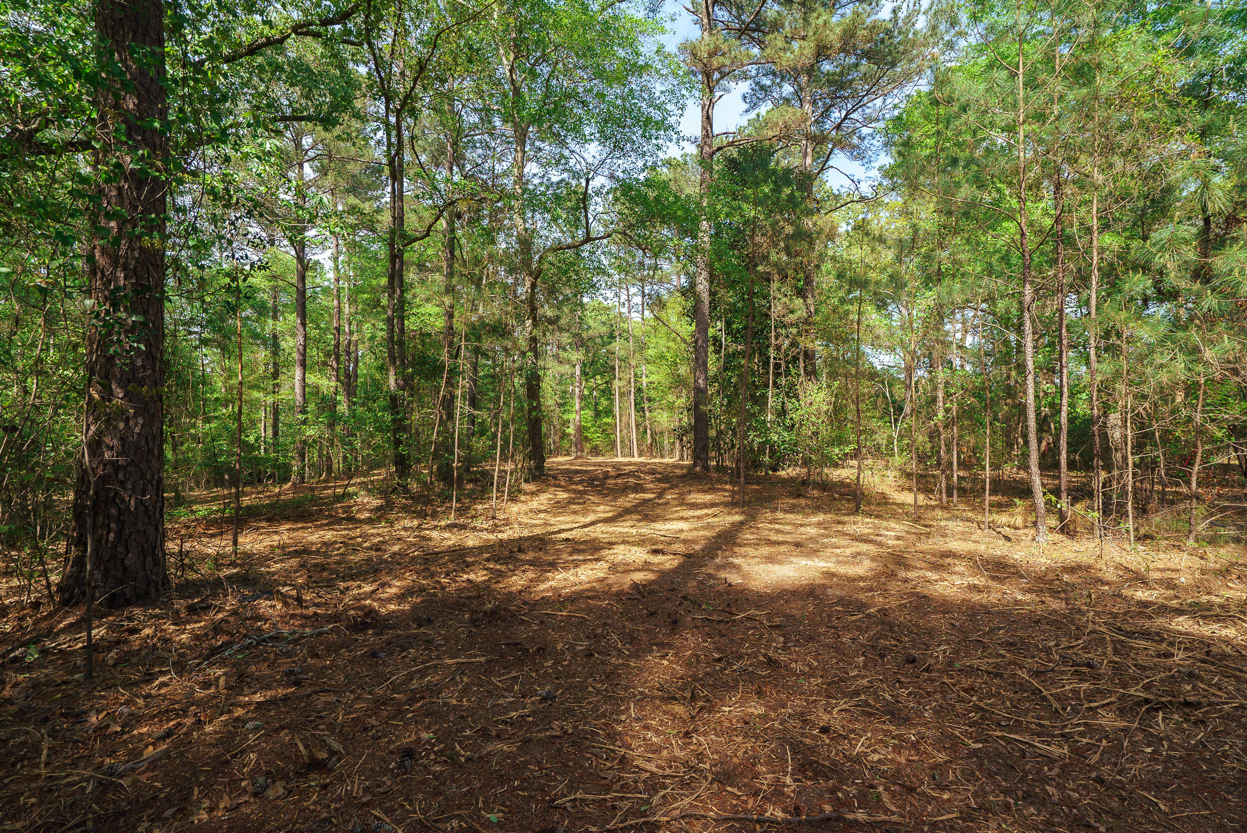 Lot 3 Banks Mill Road Southeast Aiken, SC 29803 - Photo 23 of 42