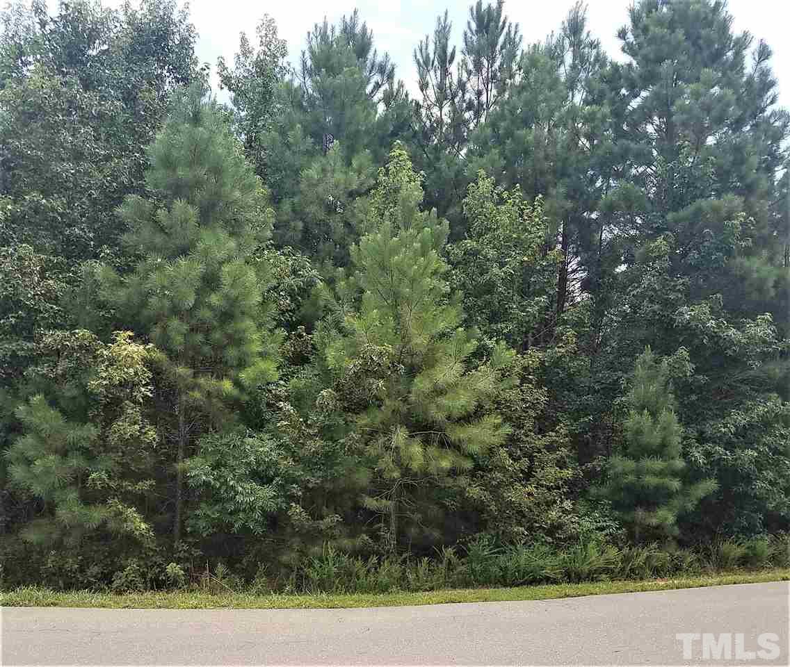 118 Turner Ridge Circle Durham, NC 27713 - Photo 3 of 10
