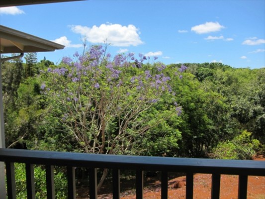 4790 Pelehu Road Kapaa, HI 96746 - Photo 17 of 17 a view of a green field