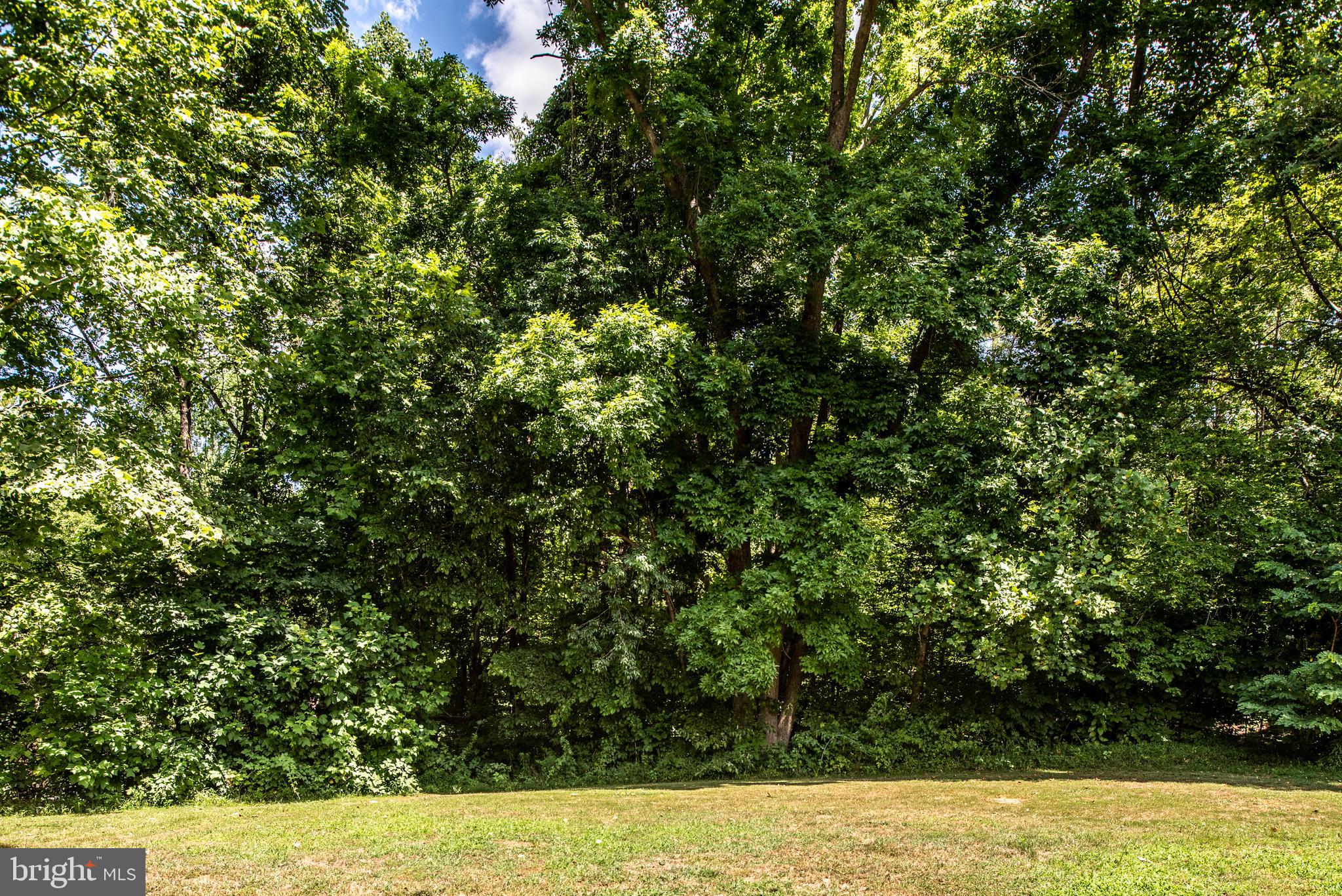 1068 Poplar Road Stafford, VA 22556 - Photo 37 of 40 Gallery Image 37