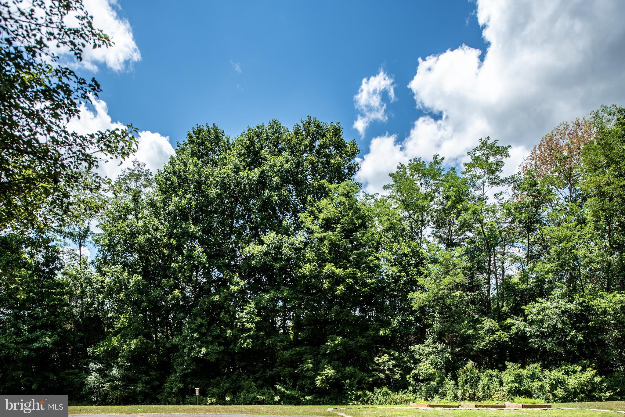 1068 Poplar Road Stafford, VA 22556 - Photo 38 of 40 Gallery Image 38