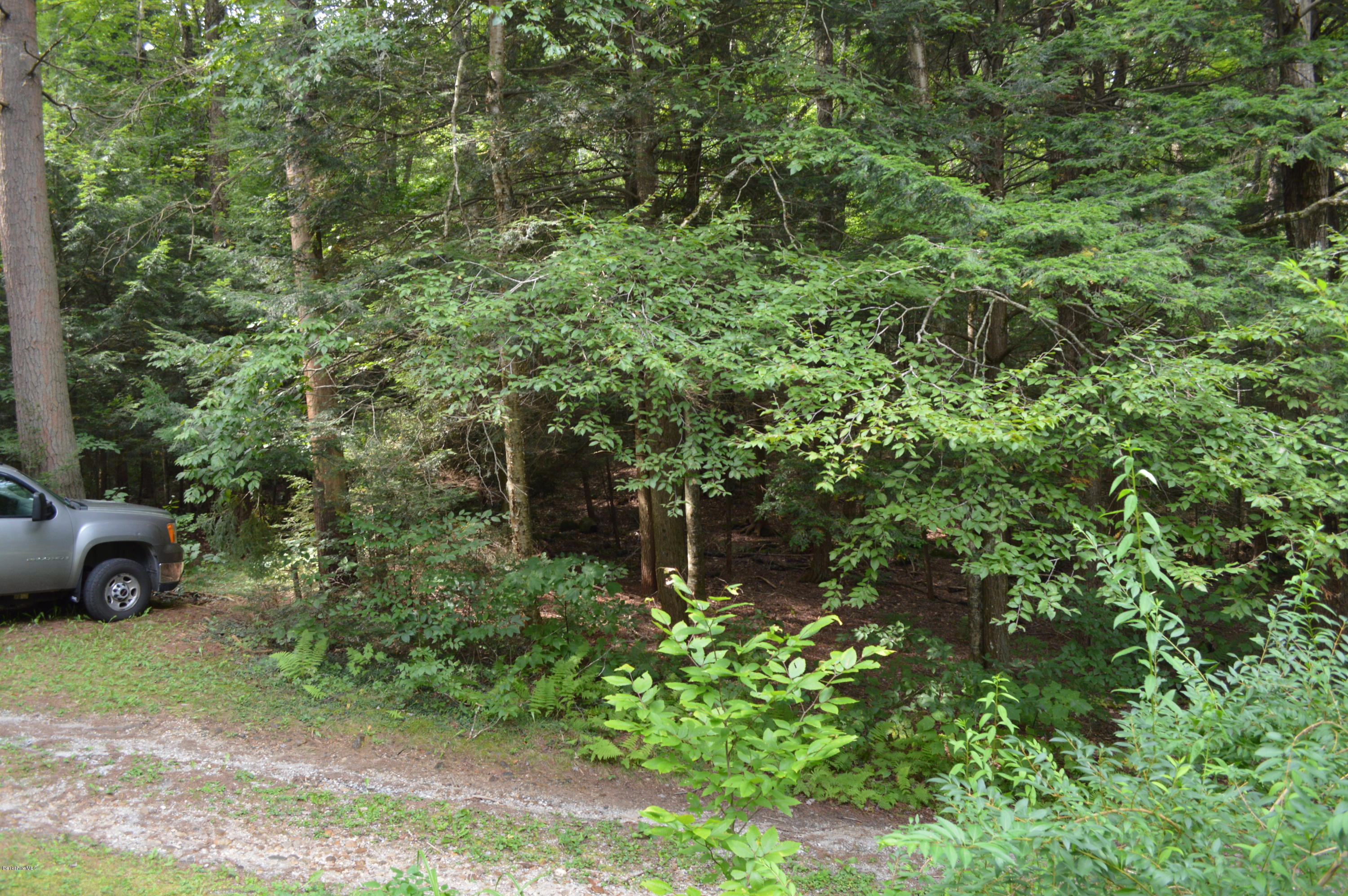 34 Highland Road Becket, MA 01223 - Photo 31 of 35 a view of a yard with plants and a bench