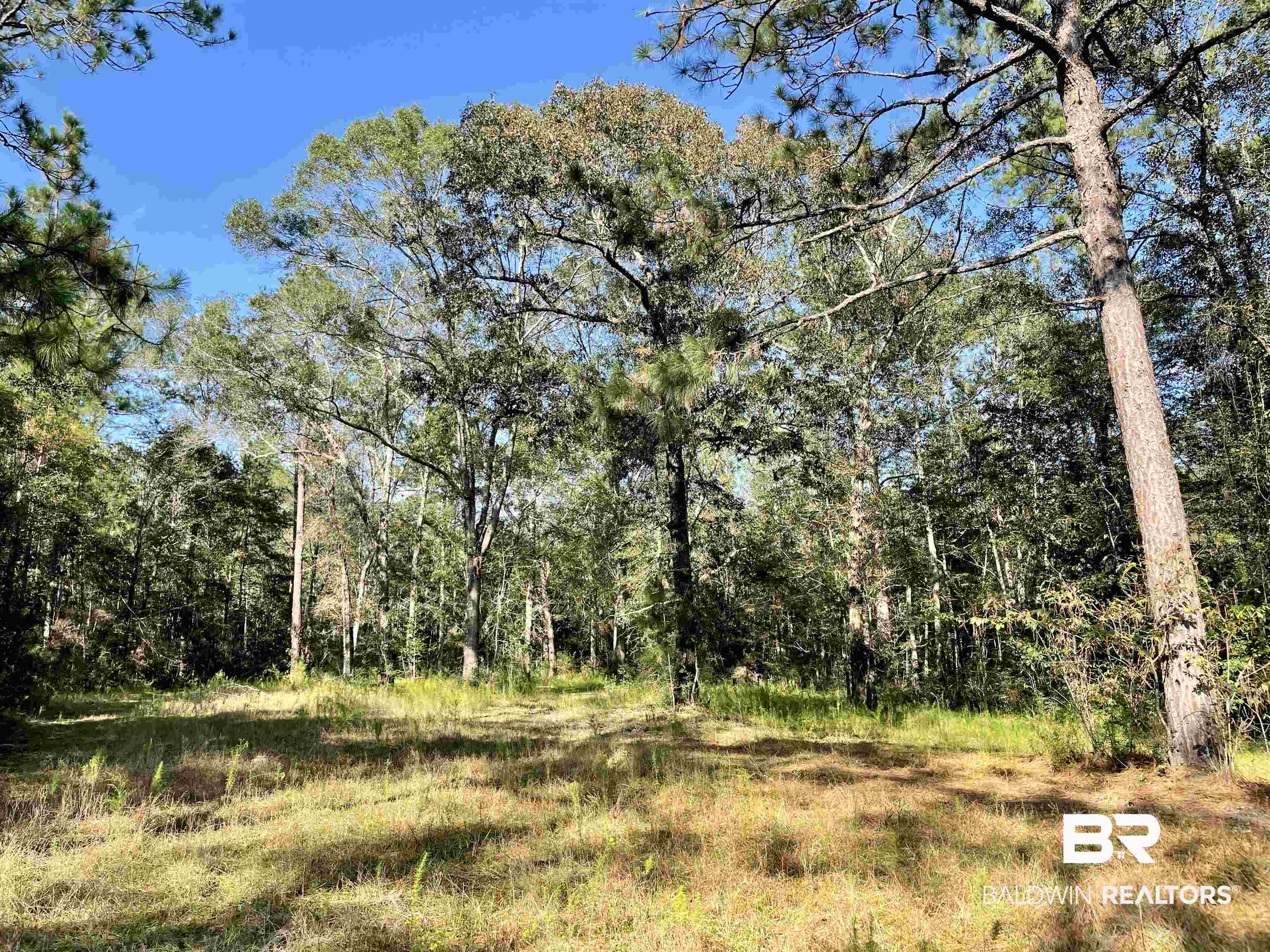 0 Country Road Vinegar Bend, AL 36584 - Photo 22 of 46