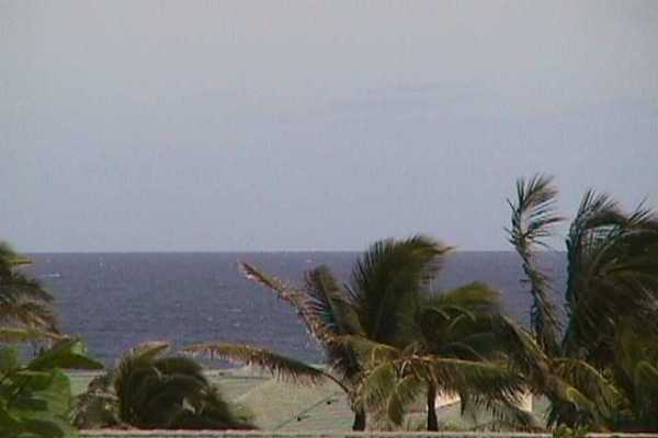 1568 Pe'e Road, Unit 212 Koloa, HI 96756 - Photo 6 of 25 a view of a yard