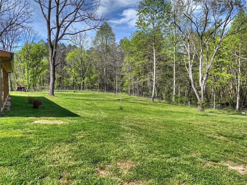 44 Raper Road Morganton, GA 30560 - Photo 6 of 47