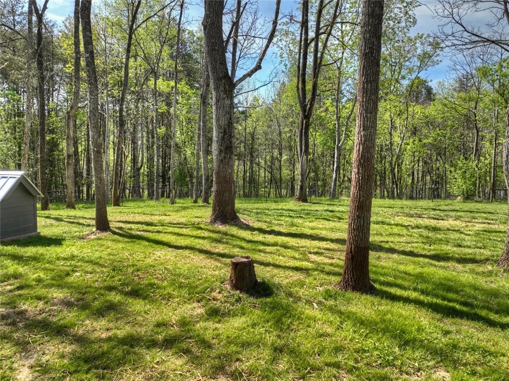 44 Raper Road Morganton, GA 30560 - Photo 9 of 47