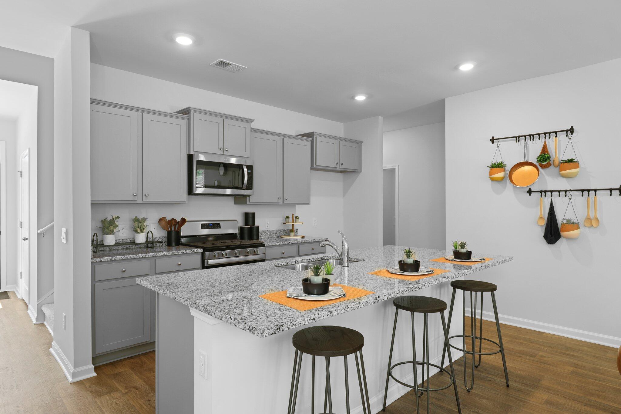 728 Butterfly Ginger Street Moncks Corner, SC 29461 - Photo 3 of 32 36-WEB~1