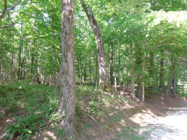 0 Old Ferry Road Walling, TN 38587 - Photo 3 of 3 Gallery Image 3