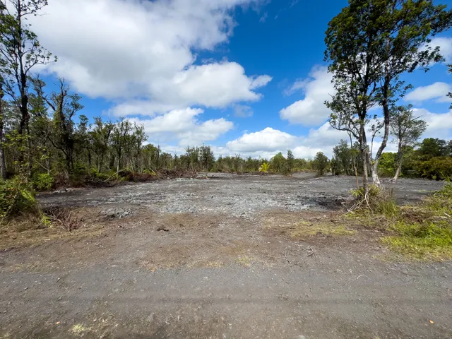 a view of a yard with a house