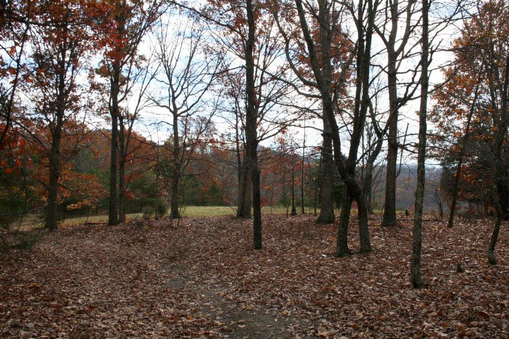 0 Burkette Road Elliston, VA 24087 - Photo 9 of 17 a view of outdoor space with lots of trees