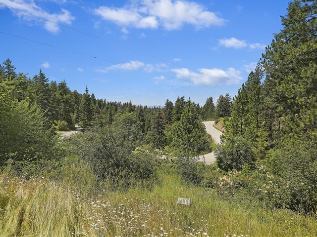 17336 Foothills Road Spokane, WA 99217 - Photo 20 of 22
