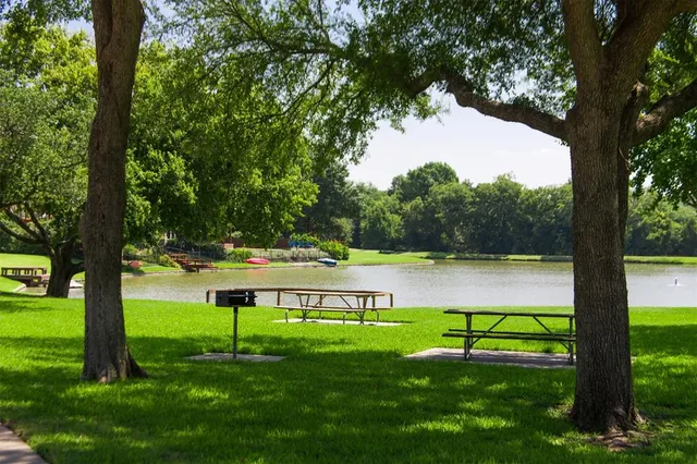 a view of a park with a tree