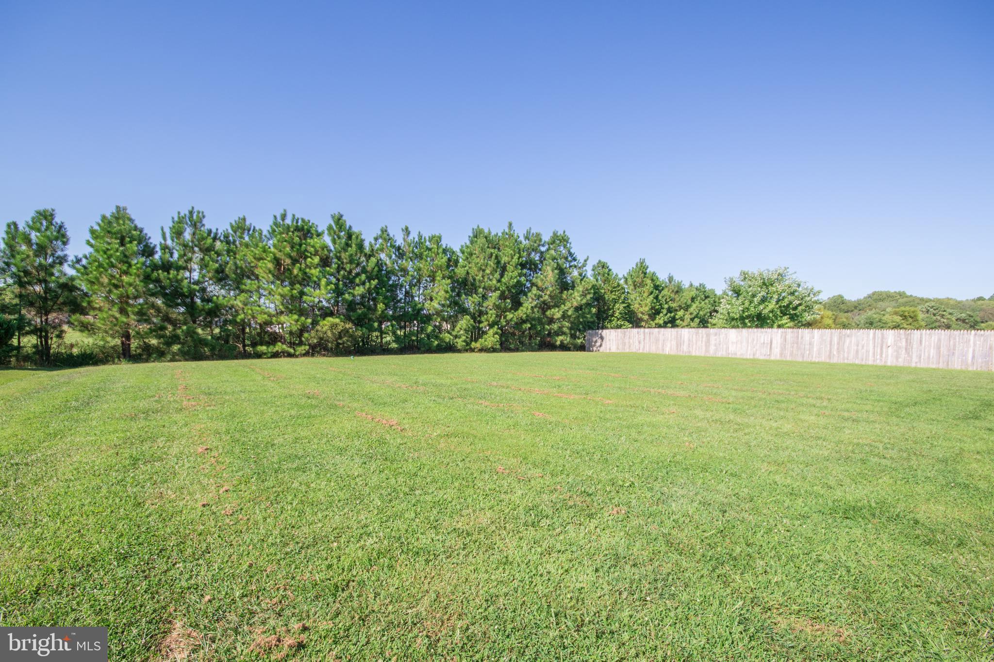 30026 Deanwood Road Princess Anne, MD 21853 - Photo 39 of 41 Backyard