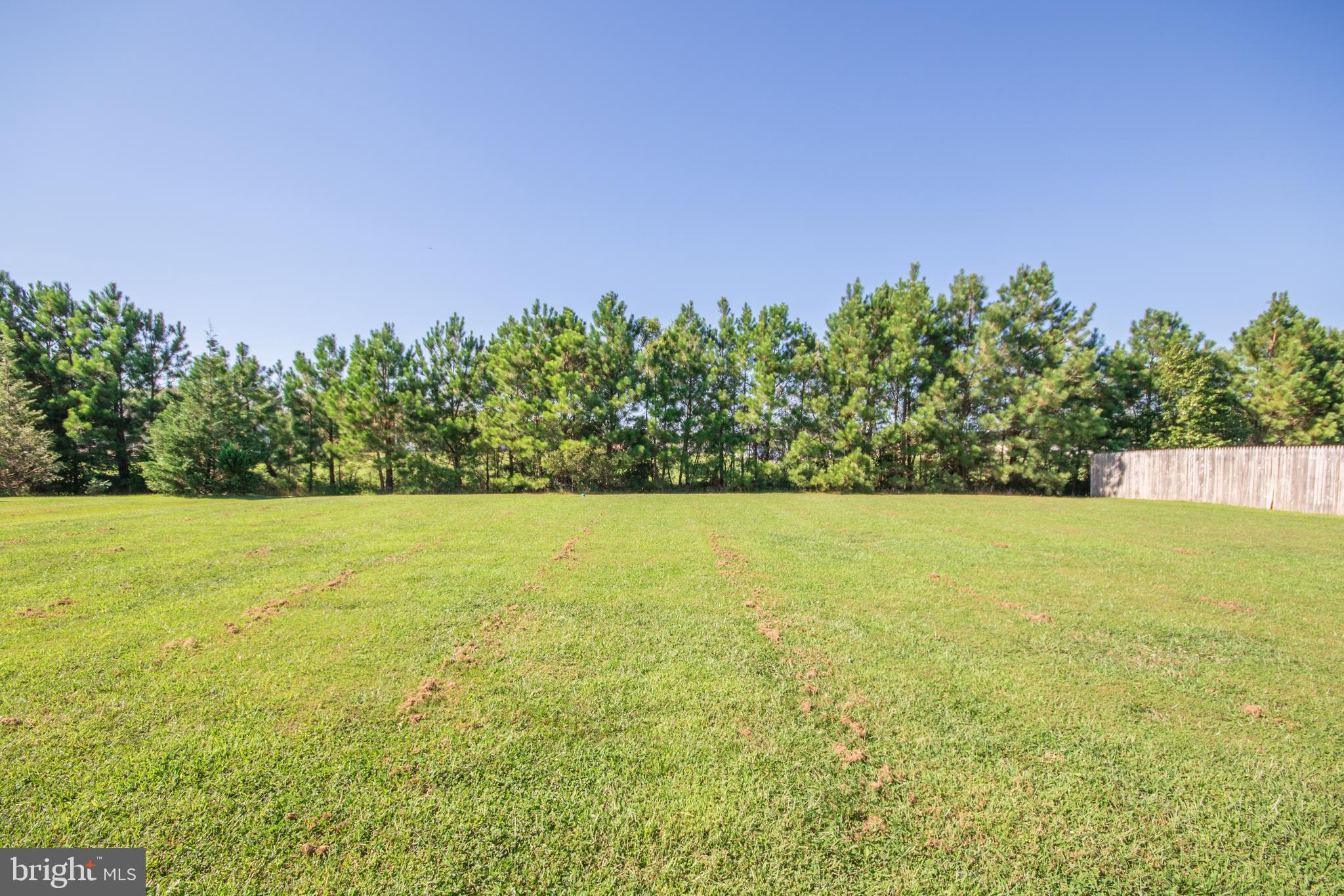 30026 Deanwood Road Princess Anne, MD 21853 - Photo 40 of 41 Backyard