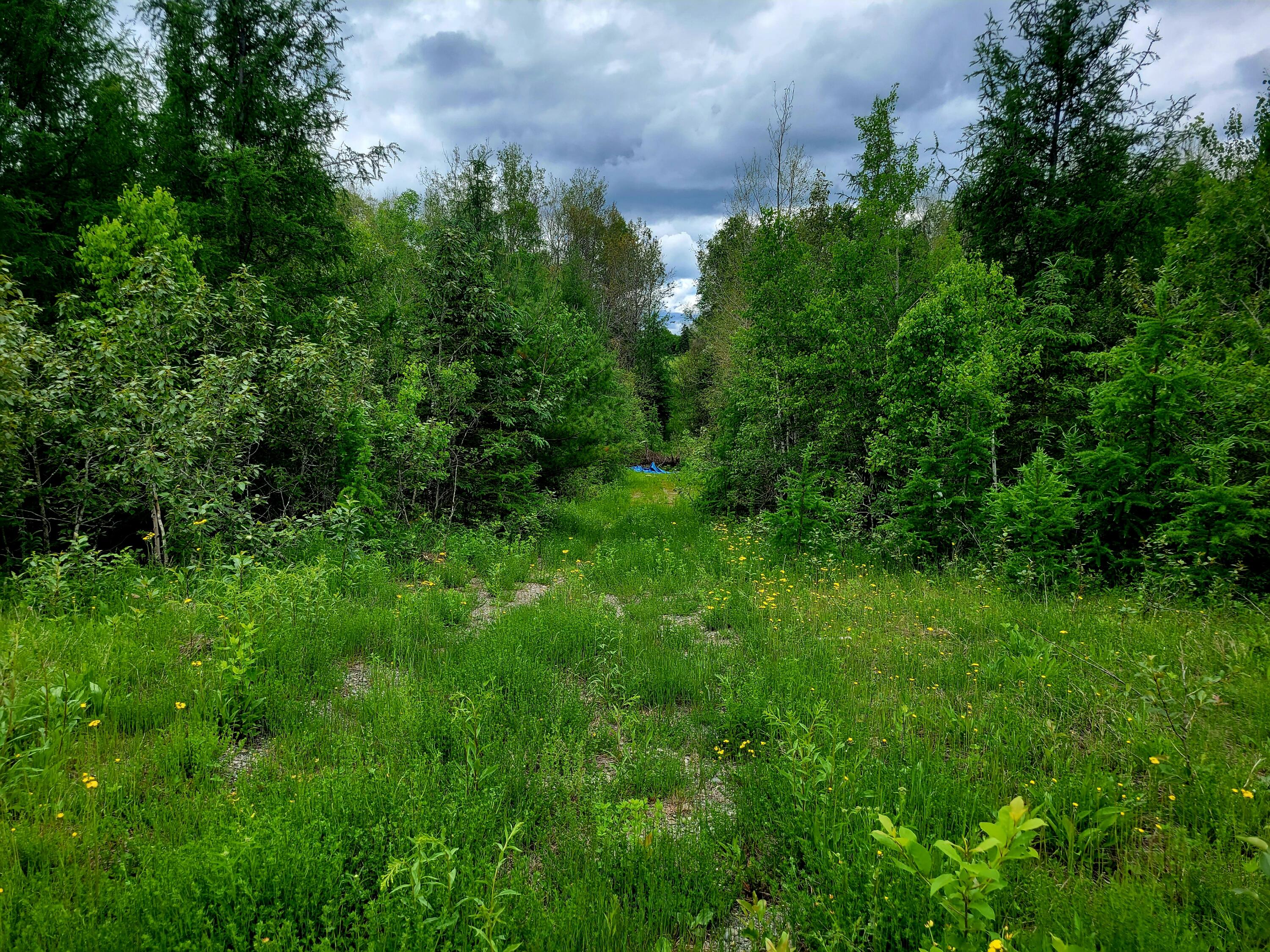 Map7-lot4a Hamlin Road Van Buren, ME 04785 - Photo 6 of 7 20230620_124842