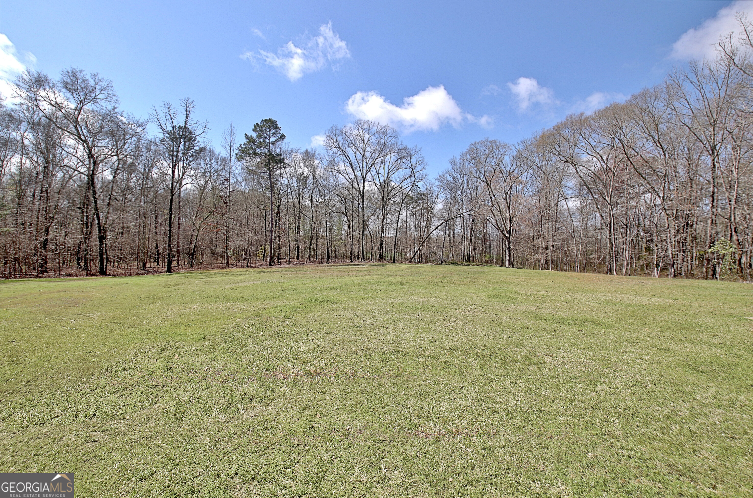 967 Tope Road Sharpsburg, GA 30277 - Photo 92 of 98