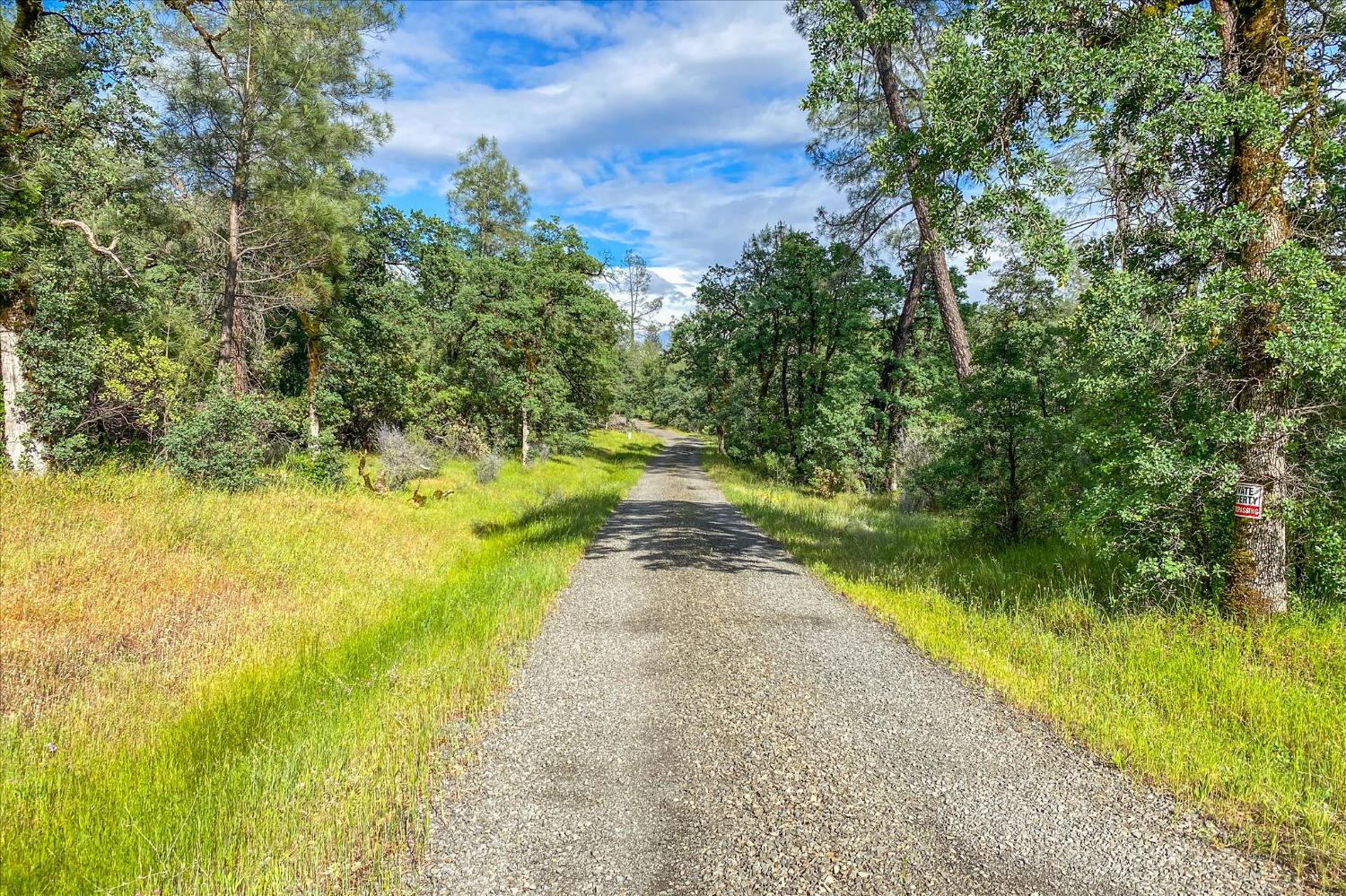 0 Donkey Mine Road Oak Run, CA 96069 - Photo 1 of 19 Gallery Image 1