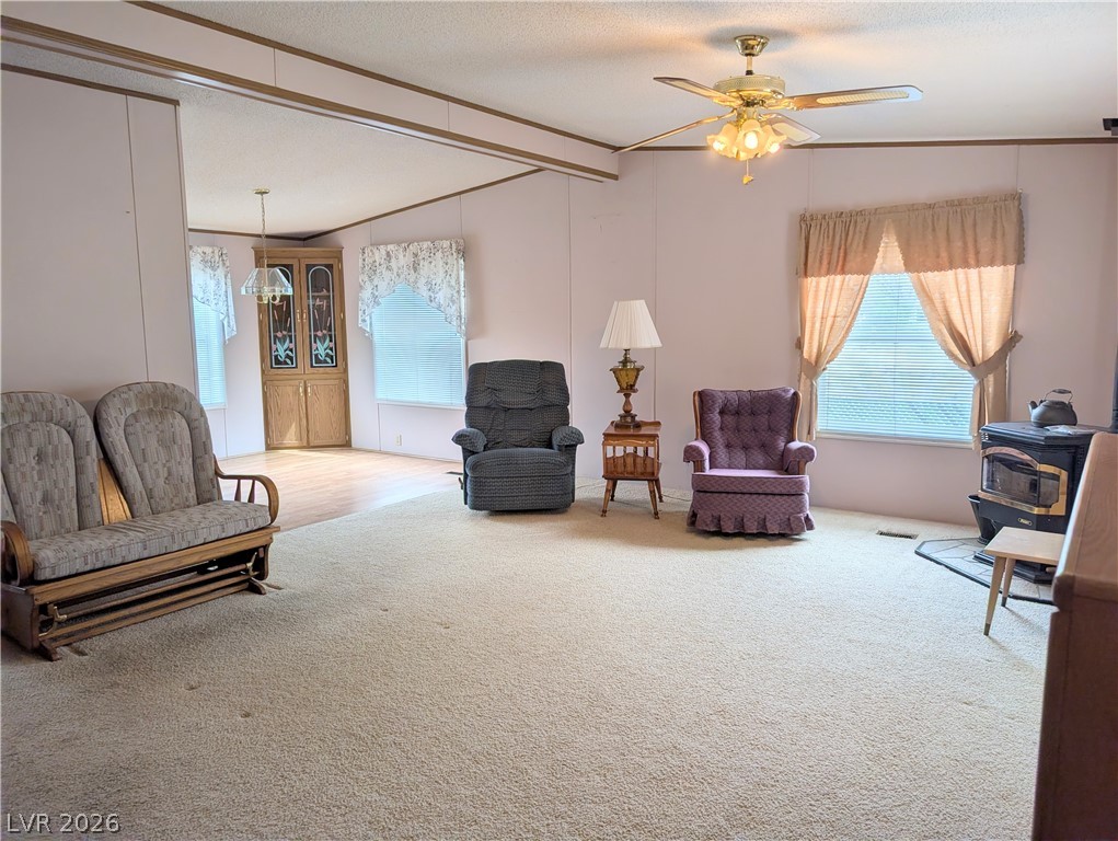50 North 2nd Street Panaca, NV 89042 - Photo 8 of 35
