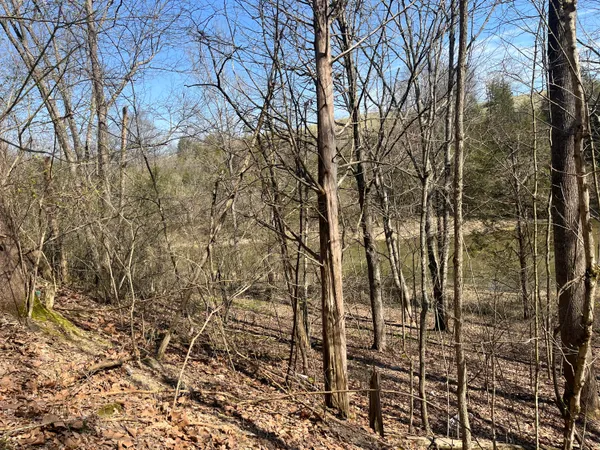 $50,000 | 3105 Gratz Road 59, Owenton, KY 40359