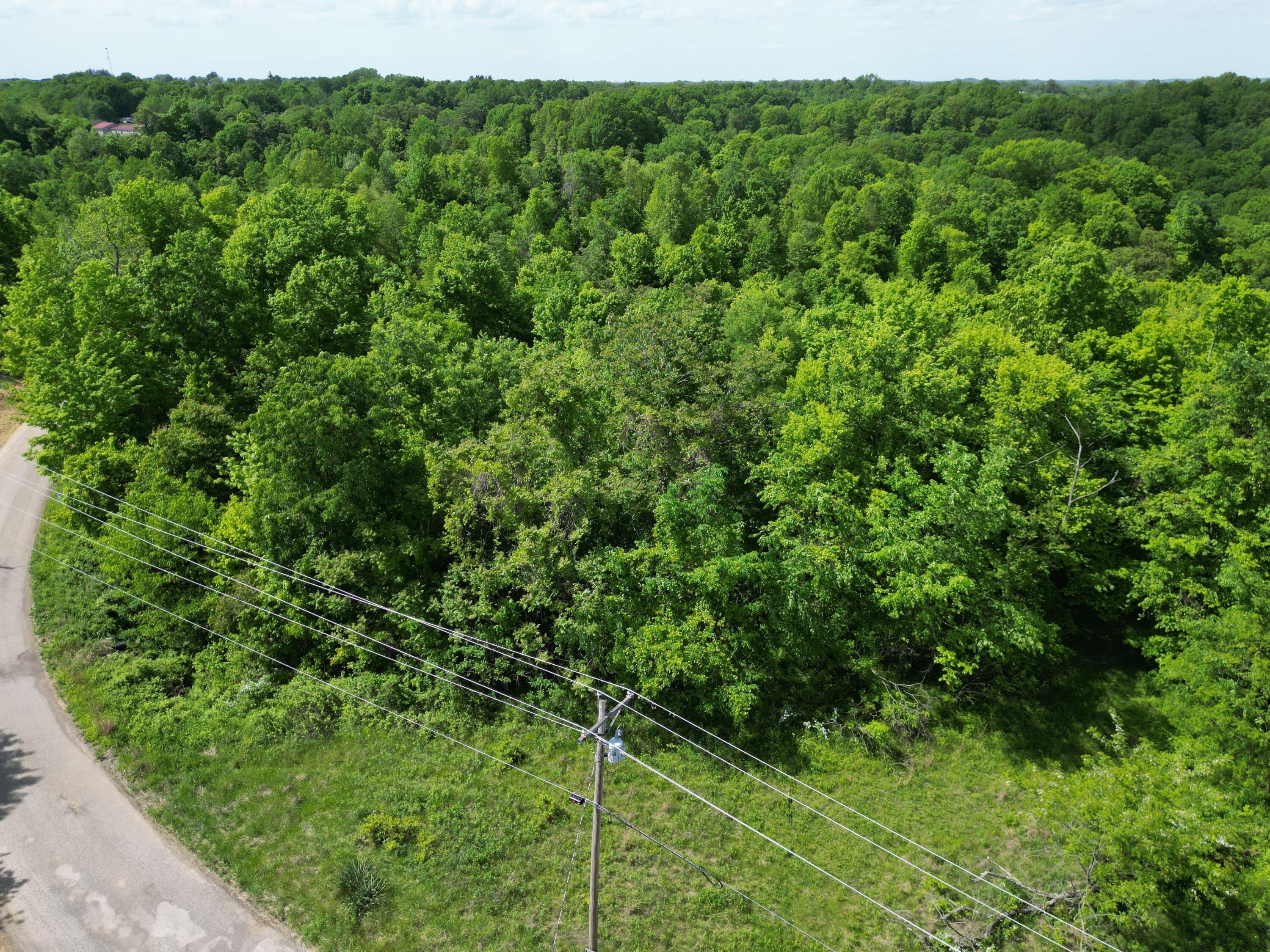0 Virginia Ridge Road Philo, OH 43771 - Photo 2 of 8 dji_fly_20240509_160808_836_171519753529