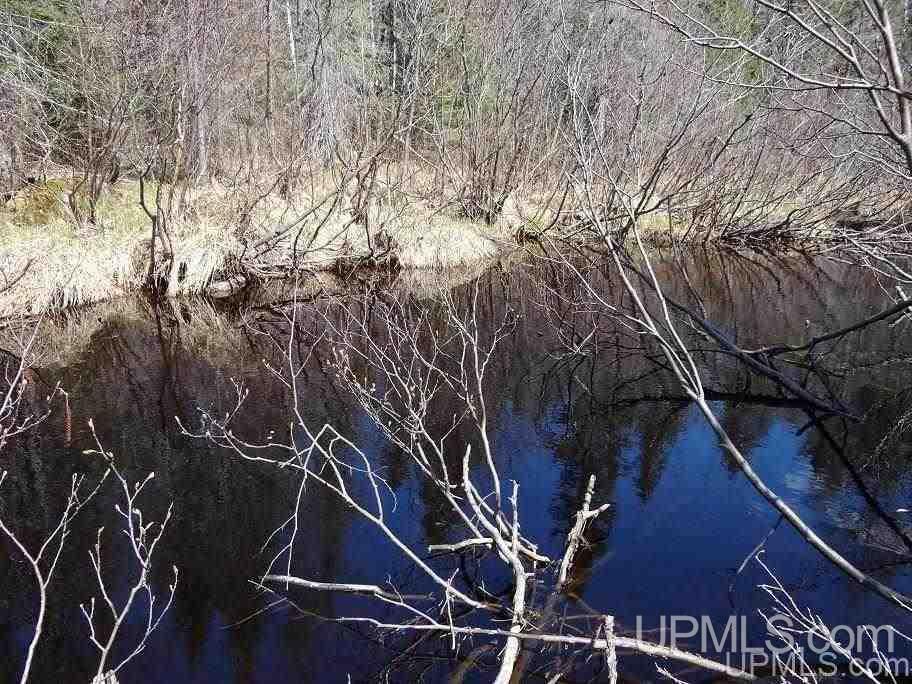 Tbd Celotex Road Michigamme, MI 49946 - Photo 21 of 25