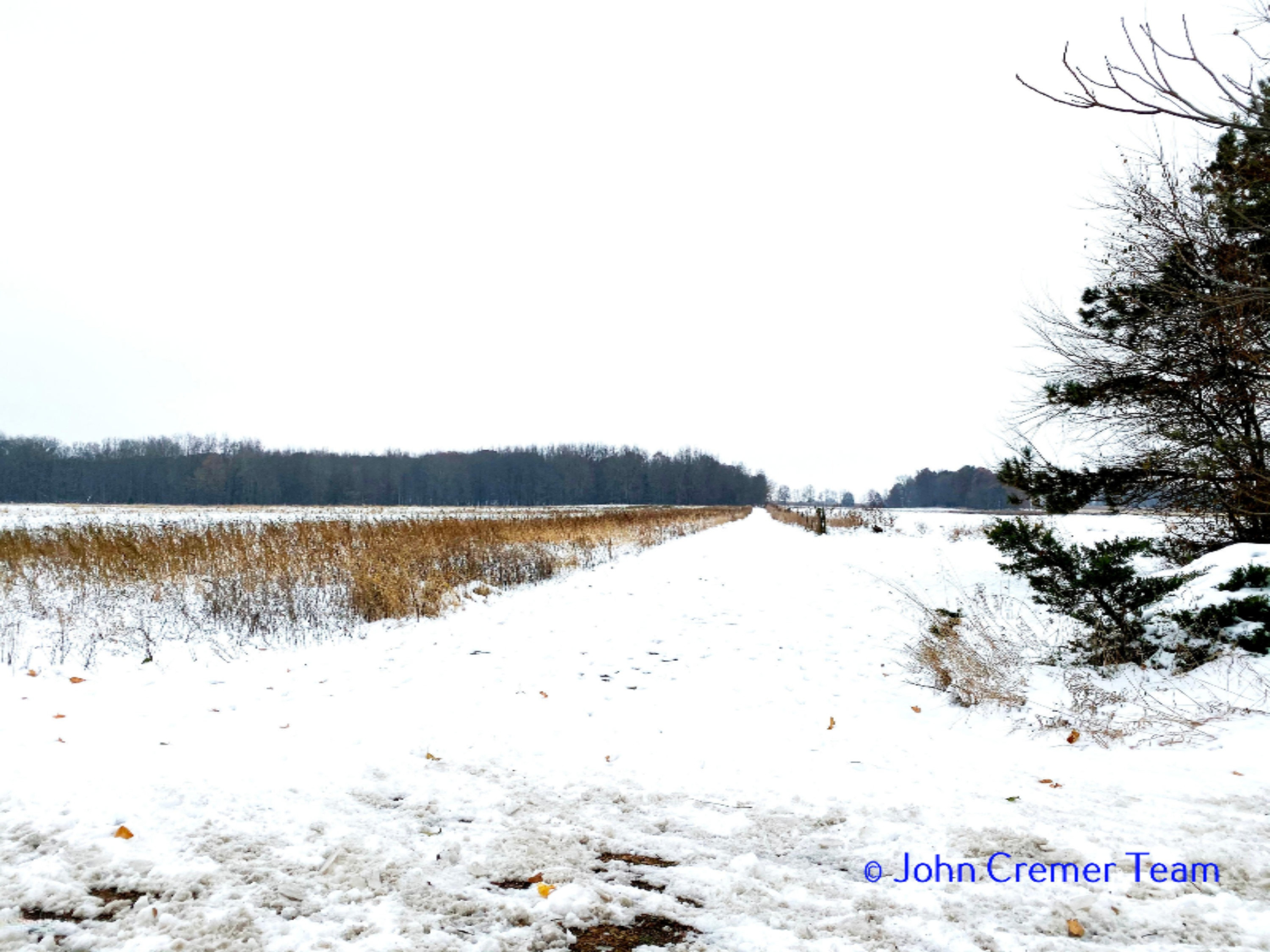 135 West Miller Lake Road Coldwater, MI 49036 - Photo 2 of 4 Property in Winter