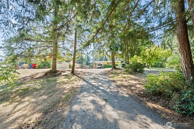a view of road with large trees
