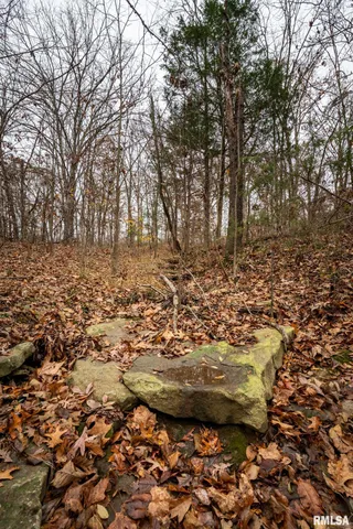 $250,000 | 0 Cut-Off Road, Creal Springs, IL 62922