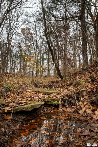 $250,000 | 0 Cut-Off Road, Creal Springs, IL 62922