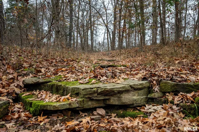 $250,000 | 0 Cut-Off Road, Creal Springs, IL 62922