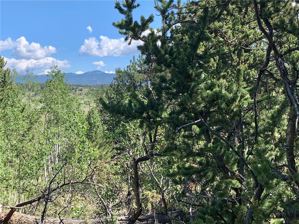 1060 Hawken Road Como, CO 80432 - Photo 8 of 28 Gallery Image 8